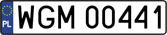 WGM00441