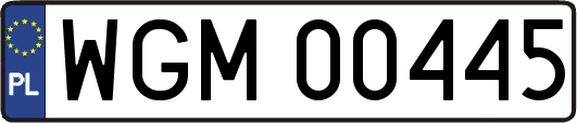 WGM00445