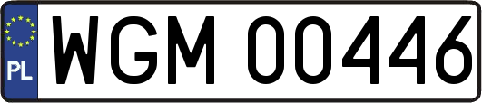 WGM00446