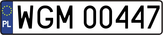 WGM00447