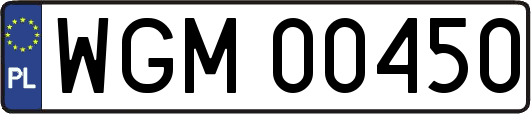 WGM00450