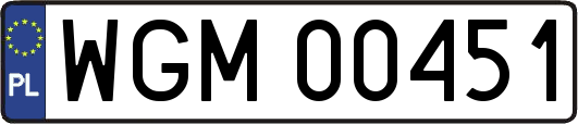 WGM00451