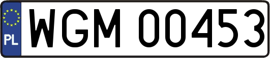 WGM00453