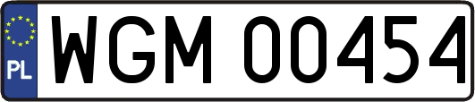 WGM00454