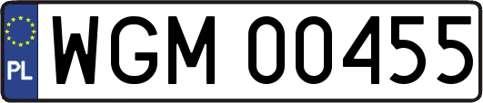 WGM00455