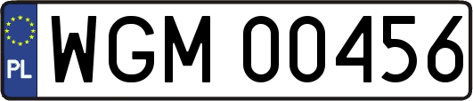 WGM00456