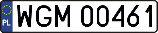 WGM00461