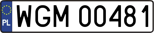 WGM00481