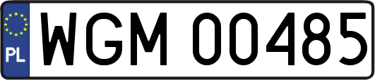 WGM00485