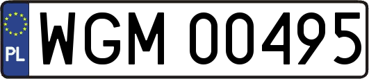WGM00495