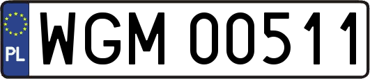 WGM00511