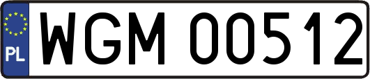 WGM00512