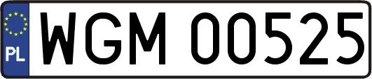 WGM00525