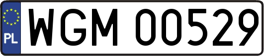 WGM00529