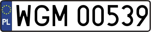 WGM00539