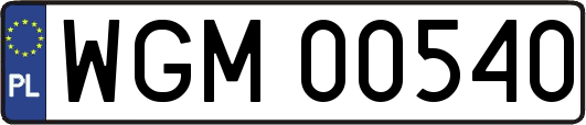 WGM00540