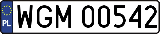 WGM00542