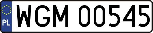 WGM00545