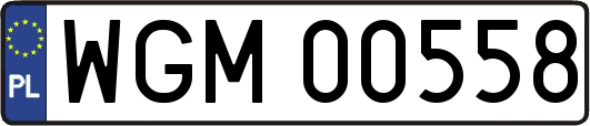 WGM00558