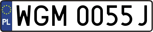 WGM0055J