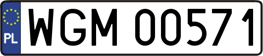 WGM00571