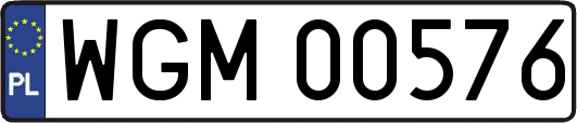 WGM00576