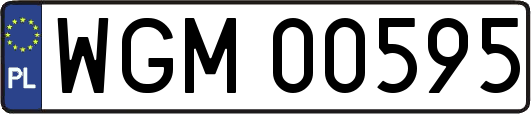 WGM00595
