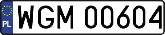 WGM00604
