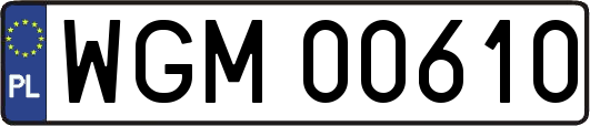 WGM00610