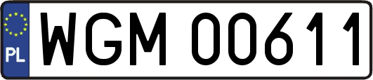 WGM00611