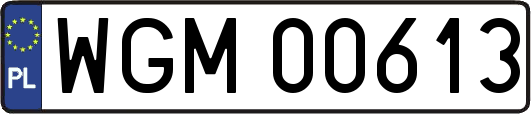 WGM00613