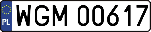WGM00617