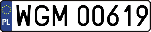 WGM00619