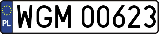 WGM00623