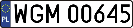 WGM00645