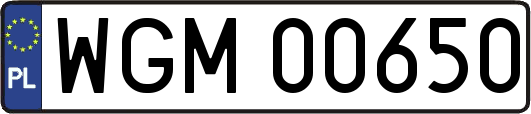 WGM00650