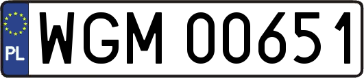 WGM00651