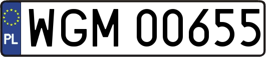 WGM00655