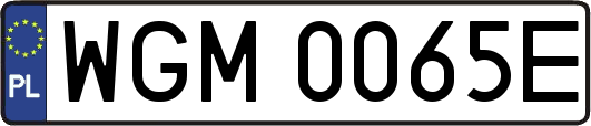 WGM0065E