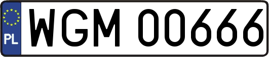 WGM00666