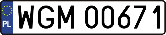 WGM00671