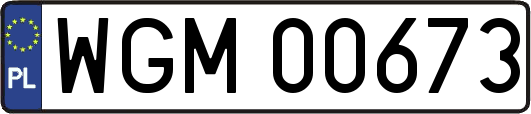 WGM00673