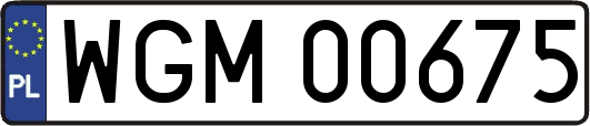 WGM00675