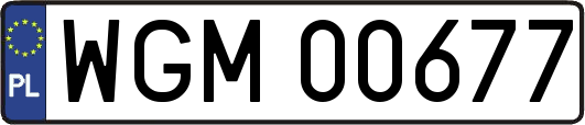 WGM00677