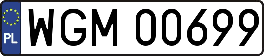 WGM00699