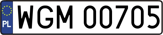 WGM00705