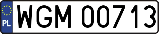 WGM00713