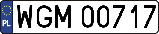 WGM00717