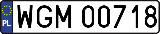 WGM00718