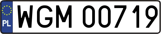 WGM00719